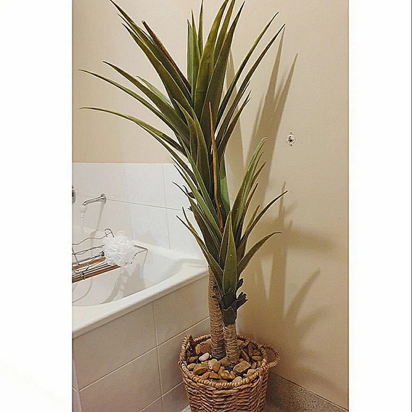Other - Faux yukka plant.